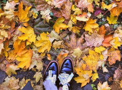 До 0°С похолодает в Волгограде к концу рабочей недели