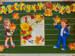 В Волгограде и области на дистант отправили 245 классов