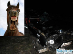 Пьяного жителя Волгоградской области, пытавшегося скрыться с места ДТП на BMW, остановила лошадь
