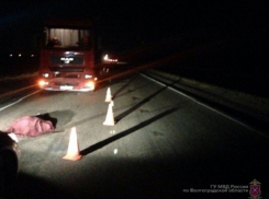 Водитель большегруза МАН раздавил 41-летнего пешехода на трассе под Волгоградом 