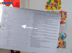 Заполнить спецопросники с подноготной про семью попросили родителей волгоградских школьников