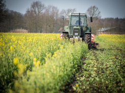 Два трактора за 3 млн рублей  с ГЛОНАСС и кондиционером купит Облкомприроды в Волгограде
