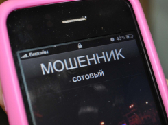 Волгоградским телефонным мошенникам жители отдали 350 тысяч 