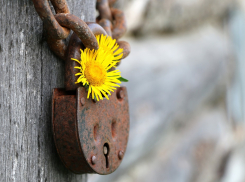 Волгоградские предприниматели задумались о своем нерадостном будущем