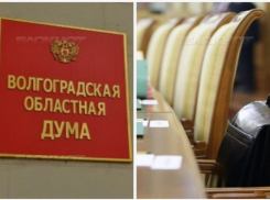 Понять и простить своих коллег решили депутаты Волгоградской областной Думы Мурылев и Свиридов 