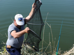 Под Волгоградом спасатель и сотрудник колонии задержаны за браконьерство 