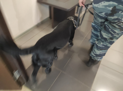 Анархо-коммунист требует поднять зарплату волгоградцам для остановки «взрывов» заводов