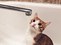 В Волгограде в сентябре отключат горячую воду: список адресов