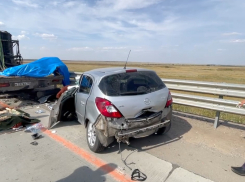 Под Волгоградом иномарка насмерть сбила трёх человек