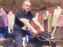 Судимого депутата-единоросса обвинили в смертельном пьяном ДТП под Волгоградом