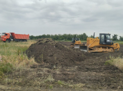 В Волго-Ахтубинской пойме началось строительство скандальной автодороги