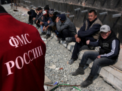 Тысячи мигрантов в 2015 году работали в Волгоградской области незаконно