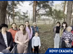 Генерал Бастрыкин потребовал доклад об уничтожение леса на «Лысой горе» в Волгограде