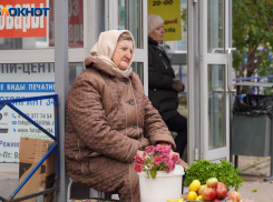 Как новые законы изменят жизнь с 1 ноября: блокировка СИМок, списание долгов с карт, рост пенсий