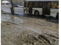 Из автобуса волгоградцы «ныряют» в жижу и грязное месиво