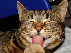 Волгоград вошел в пятерку антирейтинга «С теплом – труба» 