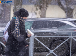 Вырывающий деревья с корнем шторм обрушится на волгоградцев 