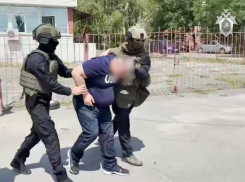 Задержание волгоградского журналиста не случайно совпало с обысками на федеральном канале Baza