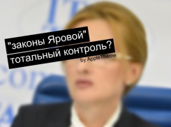 Пройдут ли «законы Яровой» проверку на прочность?
