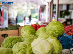 Волгоградцам рассказали, как бороться с лишним весом с помощью капусты