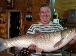 Экс-депутат Волгоградской облдумы раскритиковал Израиль