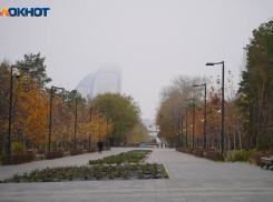 Мороз и бесснежье ждет волгоградцев на предстоящей неделе