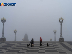 Шесть погибших и 251 зараженных: данные по COVID-19 в Волгоградской области 5 января 