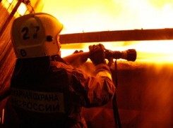 Под Волгоградом злоумышленники подожгли катер