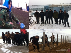 16 «туристов» из Узбекистана и Китая задержаны на полях Волгоградской области 