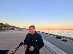 Губернатор заявил о массовой гибели деревьев в Волгограде