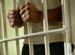 Рецидивист из Волгограда проведет 15 лет в колонии за сексуальные издевательства над двумя детьми