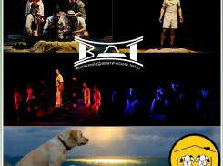 В Волжском меняют корм для собак на билеты в театр