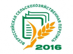 Сельскохозяйственная перепись завершена в Волгоградской области 