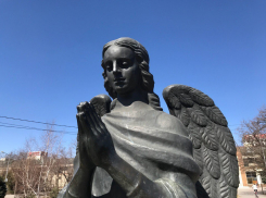 Сильный ветер обрушился на Волгоград