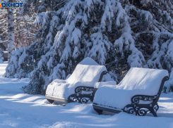 С -7 начнется весна в Волгограде