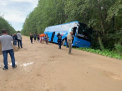 Рейсовый автобус из Волгограда съехал в кювет под Тверью