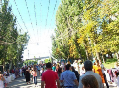 Как провести выходные в Волгограде