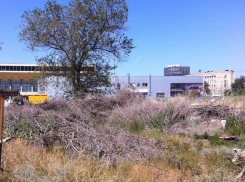 Из-за разгильдяйства волгоградских чиновников Мамаеву кургану угрожает крупный пожар