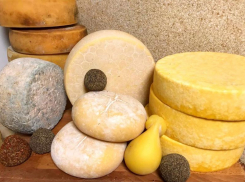 ТОП крафтовых сыров, которые не купить в волгоградских супермаркетах