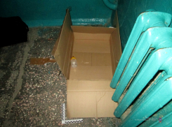 Новорожденного мальчика в картонной коробке обнаружили в подъезде Камышина 