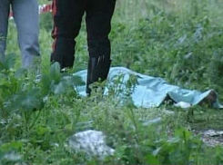 В лесу под  Волгоградом обнаружена мертвая женщина 