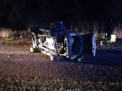 В Волгоградской области в ДТП разбились 9 детей