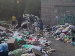 Тропу сквозь горы мусорного завала проложили волгоградцы — шок-видео 