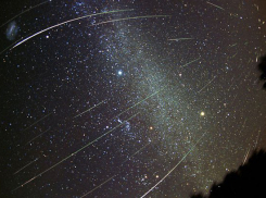 Что подарит метеорный поток Леониды волгоградцам, рассказала астролог