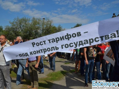 Волгоградцы вышли на митинг против закрытия алюминиевого завода