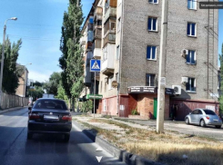 Тополь на севере Волгограда рухнул на женщину