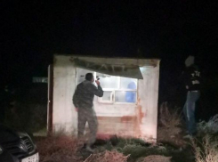 «Кто здесь?»: волжане возрождают забытый «Ночной дозор»