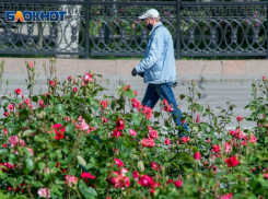 Коронавирус унес уже 79 жизней, 10 668 зараженных в Волгоградской области на 16 августа