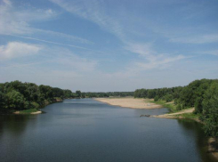 Экс-чиновник продал часть природного парка «Волго-Ахтубинская пойма»