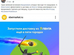«В руках лимон, а рядом жук-навозник»: волгоградского блогера возмутило, что из Родины-матери сделали сотрудницу службы доставки